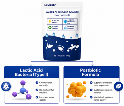 🌟 Official Store |⏱️ Crystal Clear in 24 Hours! | LOVILDS®Water Clarifying Powder