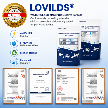🌟 Official Store |⏱️ Crystal Clear in 24 Hours! | LOVILDS®Water Clarifying Powder