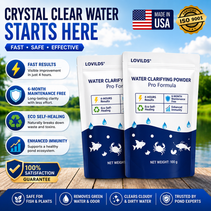 🌟 Official Store |⏱️ Crystal Clear in 24 Hours! | LOVILDS®Water Clarifying Powder